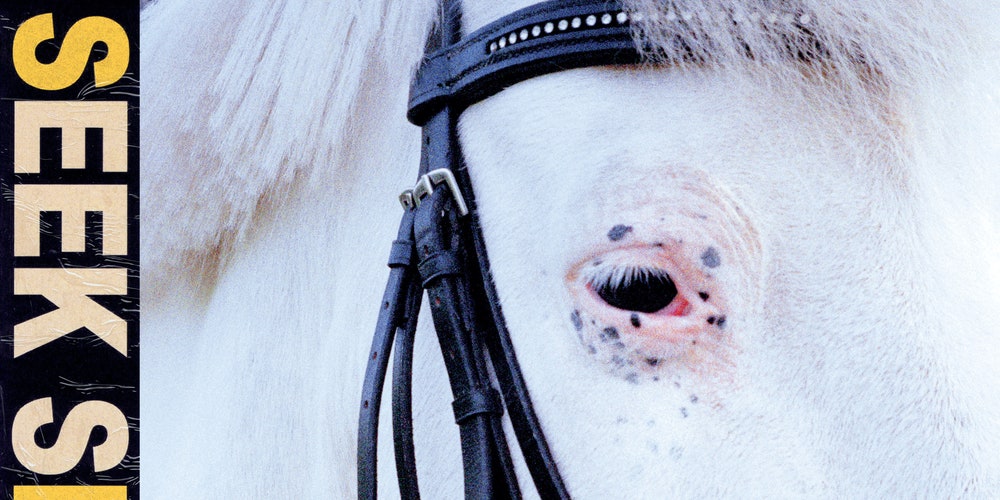 REVIEW: Iceage – Seek Shelter