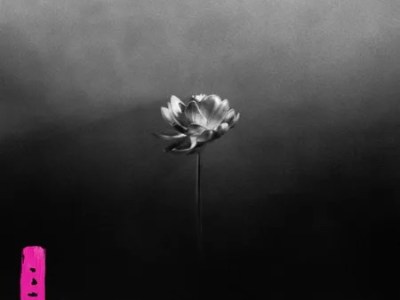 REVIEW: Little Simz –&nbsp;Lotus